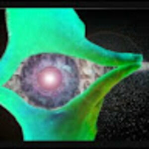 Meet your Posher, Frog